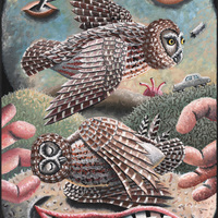 Morgan Bulkeley'swork, Book: Saw-whet Owl Mask